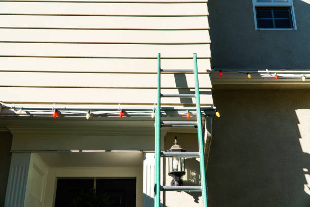 Best Custom Trim and Detailing for Siding  in Pelican Marsh, FL